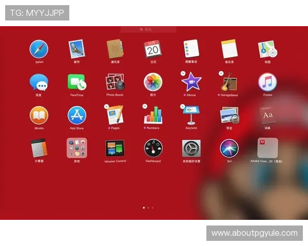 全面解析AG国际厅竞咪厅的游戏规则与操作流程，帮助新手快速上手体验
