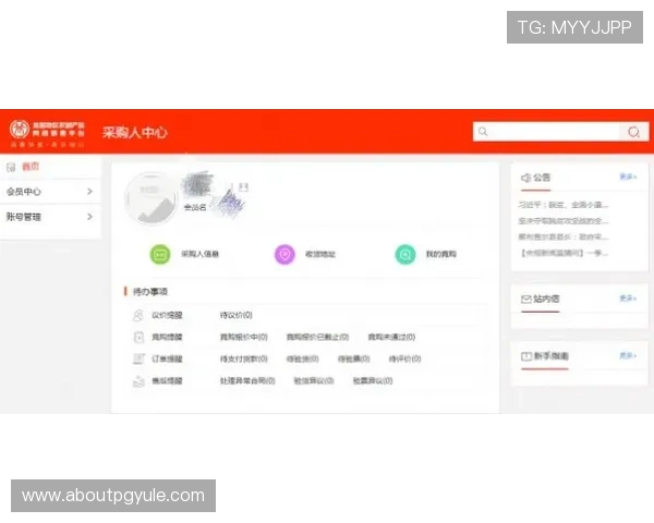 速盈登录入口，便捷快速的在线交易平台登录方式